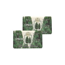 네스티단테 데이꼴리 피오렌티니 사이프러스, 1개