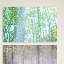 꾸밈 cm805-아크릴액자자작나무시리즈 아크릴액자, 3.이미지3