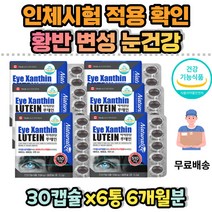 눈이침침할때 침침한눈 눈이뻑뻑할때 루테인 눈건강 식약처인증 눈이피곤할때 눈이침침 눈관리 눈건조할때 빌베리 헤마토코쿠스 추출물 크릴오일 루테인 눈피로 개선 아스타잔틴