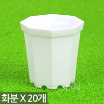 미니 플라스틱 화분 블랙 X 20개 - 어린이집 유치원 플라스틱 어린이 식목일 행사 플분 다육 선인장 식물 모종 삽목 인테리어 홈 가드닝 다육이화분