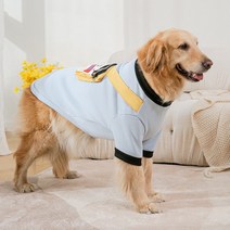 boldog 볼독 중형견 대형견 기모후드티셔츠 3XL-7XL, 스카이블루