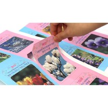 시니어 인지활동 봄꽃 미술활동 만들기 어르신 미술수업 종이북 교육용 diy