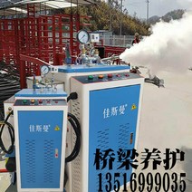 스팀세차기 고압스팀세차기 주방용 차량용 Gusman 전기 난방 증기 발생기 자동차 세탁기 양조 두유 다리 유지 보수 의류 다림질 보일러, [01] 3kw 반자동