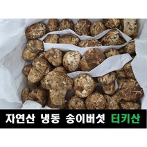 송이버섯 자연산 냉동 터키산, 3S급(60~80송이내외, 모양크기랜덤), 1kg