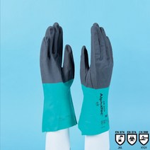 나이론-나이트릴 내화학 글러브 KOSHA 인증 / Alphatec® 58-270 Nitrile Chemical Resistance Glove, size9 1/EA [G04-17-004]