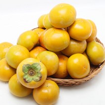 창원 북면 단감 5kg 21-23과내, 단품