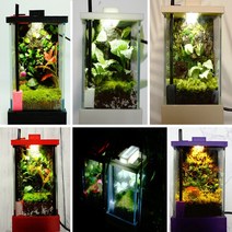 하비아쿠아 일체형 미니 습식어항 인테리어 비바리움 테라리움만들기, 9.골드레드