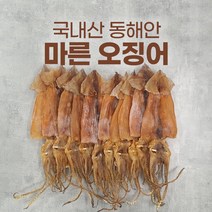 속초 마른오징어 2마리 5마리 시세 요리 제철 볶음, 마른오징어(생물) 20마리 1.7kg