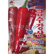 (씨앗) 금수강산고추 - 순한 매운 맛의 재배가 쉬운 다수확 거대 고추 종자 씨앗 - 1200립