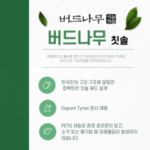 치과전용 버드나무 칫솔 이중슬림모, 12개