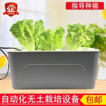 수경재배식물 쌈채소 가정용식물 수배채소재배함 베란다종채신기무토재배설비수경딸기식물플라스틱화분, 플라스틱, 스몰 노멀(워터펌프 미착용), 크다