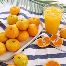 새콤달콤 돌담 가정용 하우스감귤 1kg 소과 12-19과(2S-S), 단품