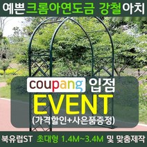 북유럽st 장미 가든 정원 아치 지지대 마당 대문 테라스 꾸미기 터널, 대형, 그리너리그린[1.4mX2.3m]
