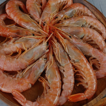 부산창고 - 랍스타 킹 단새우 2kg