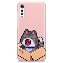 데이투데이 LG 벨벳 케이스 박스냥이 하드 LM-G900N