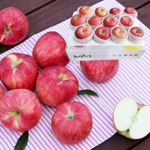저탄소 gap인증 의성햇사과 대과4kg(11~16입)/BFK
