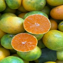 탐라인 제주 산지직송 극조생 노지감귤 로얄과 9kg 가정용, 1box