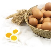 꼬꼬 반숙란 한판(30구) 반숙계란 영양간식, 30구