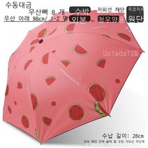 파라솔
