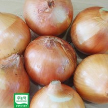 (인빌푸드)창녕 무농약 햇양파 5kg, 단품
