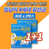 반려견 반려묘 애견 개 강아지 고양이 식물성 유산균 장도착 프로바이오틱스 포스트바이오틱스 식이섬유 북어분말 휴먼그레이드 장 면역 알러지 영양제 아연, 2박스
