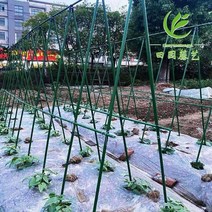 넝쿨 지지대 화초지지대 c넝쿨 포토 콩 오이 그물, 직경 11mm 길이 90cm 높이 90cm