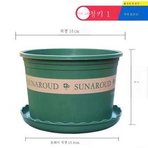 ZZJJC 화분 대전다육플라스틱 특대호 월계다육분재 화분수지갤런 화분, 왜소1호[구경16cm]10개입, 화분받침(비료 보내기+뿌리가루)함유