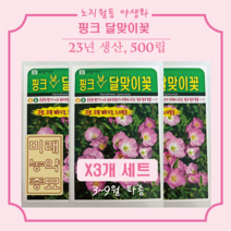 23년산 핑크달맞이꽃 씨앗 500립 (X3개세트) - 3~9월파종 오랜 개화기간 노지월동 가능 낮에 피는 꽃, 3개