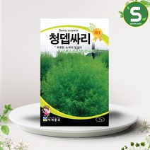 솔림텃밭몰 청뎁싸리 1g 뎁싸리 꽃씨앗 종자 관상 조경용, 단품