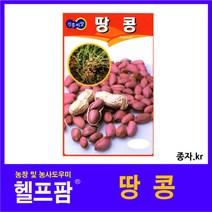 헬프팜 땅콩 30g 종자 씨앗 진흥종묘