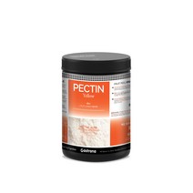 YELLOW PECTIN 펙틴옐로우 유틸리티 파트프뤼 고탄력 겔화제 / 전문가용 펙틴, 1개