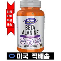 나우 스포츠 베타 알라닌 750mg 120캡슐