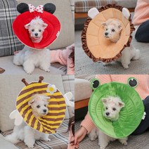 펫데일리 넥카라 목 보호대 S, 청개구리