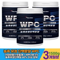 PREMIUM 유청 단백질 프로틴 프로테인 protein 분말 분리 가루 쉐이크 파우더 대두레시틴 헬스 보충제 근육 건강 WPC 추천 BACC BCA 로이신 류신 운동후 벌크업