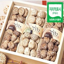 장흥표고버섯 백화고 혼합세트3호 말린 건 표고버섯 물 차 효능 말린것 식이섬유 많은 음식