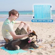 반려견 반려묘 쿨 매트 여름 아이스 방석 쿨매트 국내제작 결로제로, 하늘색