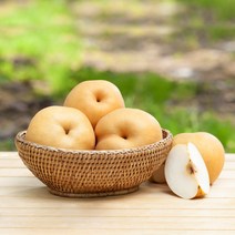 [슬로푸드] 국내산 하동 배 프리미엄 햇 배 5kg/7.5kg 선물세트, 원황 햇 배 7.5kg(11~13과)