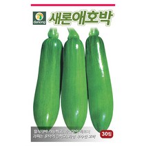 일성 백다다기 오이 씨앗 50립 - 흑침오이 반백오이 오이씨앗 야채씨앗 채소씨앗 채소재배 종묘 종자 베란다 텃밭 씨 씨앗 호박 방울토마, 10_다농_새론 애호박(30립)