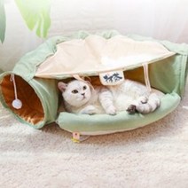 힐링타임 고양이 숨숨집 NH-376, 다방