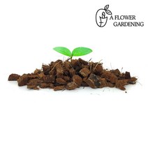 코코칩 허스크칩 화분 분갈이흙 멀칭재 배수층, 중립 (8~12mm), 10L