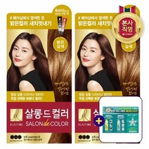 LG 생활건강 엘라스틴 살롱드컬러 염색약 밝은갈색 100g x 2개 + 증정, 단품없음, 선택완료