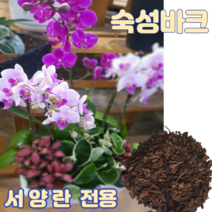 숙성바크6L 중립 서양란 화분갈이전용 소나무껍질바크 아로니아 블루베리전용 원예 조경용 파충류바닥재