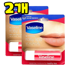 댕Ol몰 바세린 립테라피 스틱형식 4.8g, 2개, 로지립스향