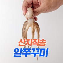 활주꾸미3kg 추천 순위 TOP 20