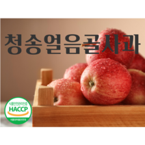 청송얼음골농원 고당도 꿀맛 꿀사과 경북 청송 사과 5kg, 23~25과