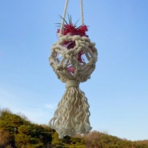 반짝이는 마크라메 볼 행잉 만들기 DIY 키트, 스칸디아모스 구성