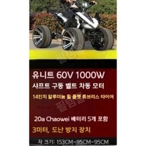 농업용 사발이 버기카 4륜 사륜 오토바이 바이크 4발, 전기모델패키지6