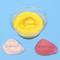 실물조개 화석모형 만들기(1인세트)