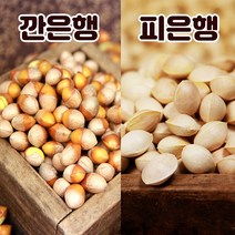 강천골 토종 은행 피은행 깐은행 중대특 옵션선택, 피은행(외피있음) 1kg(중)