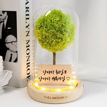 LED 메세지 각인 스칸디아모스 유리돔 무드등 거실 인테리어 조명 선물, 올리브_폰트3